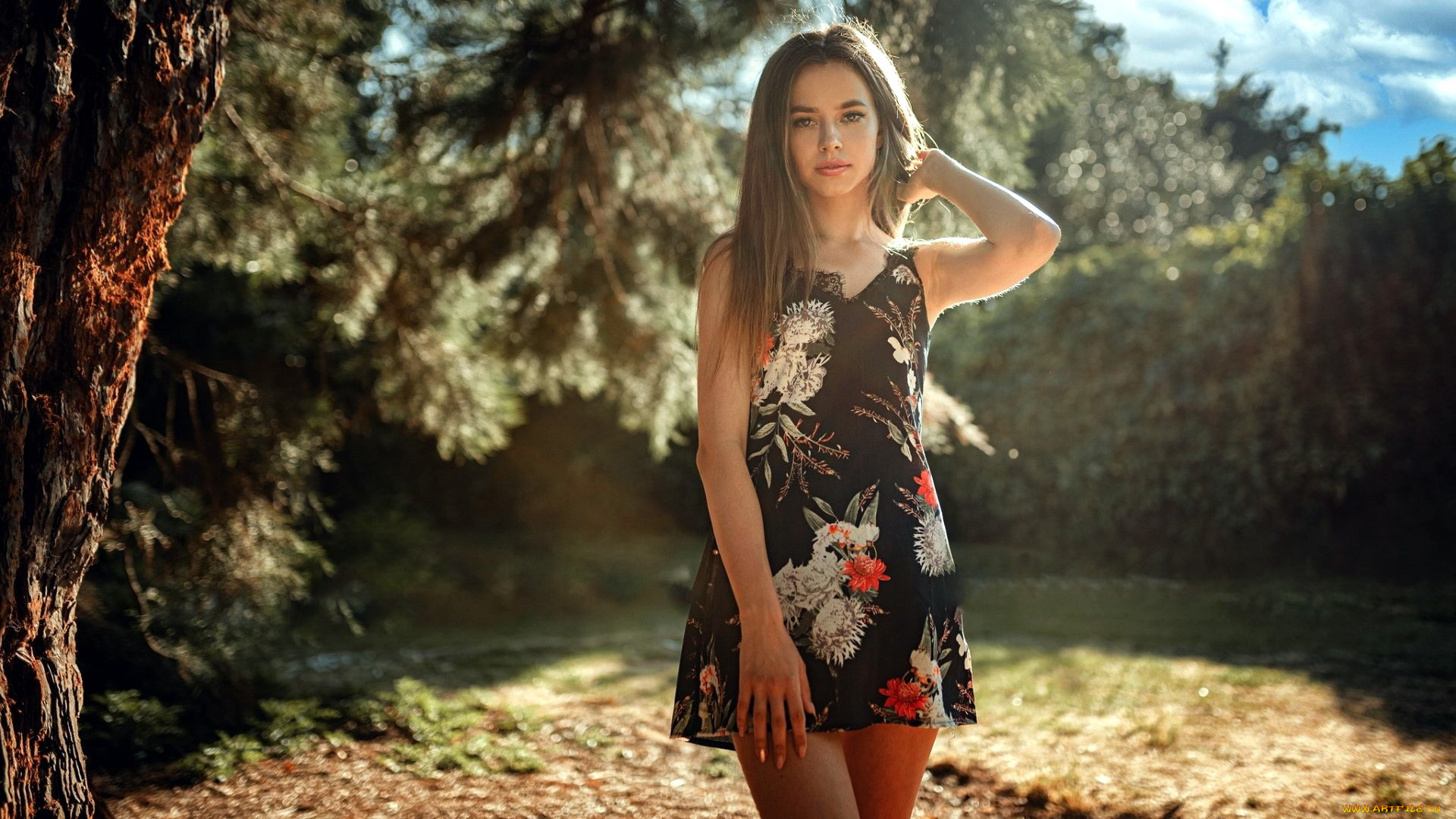 , - ,  , , 
